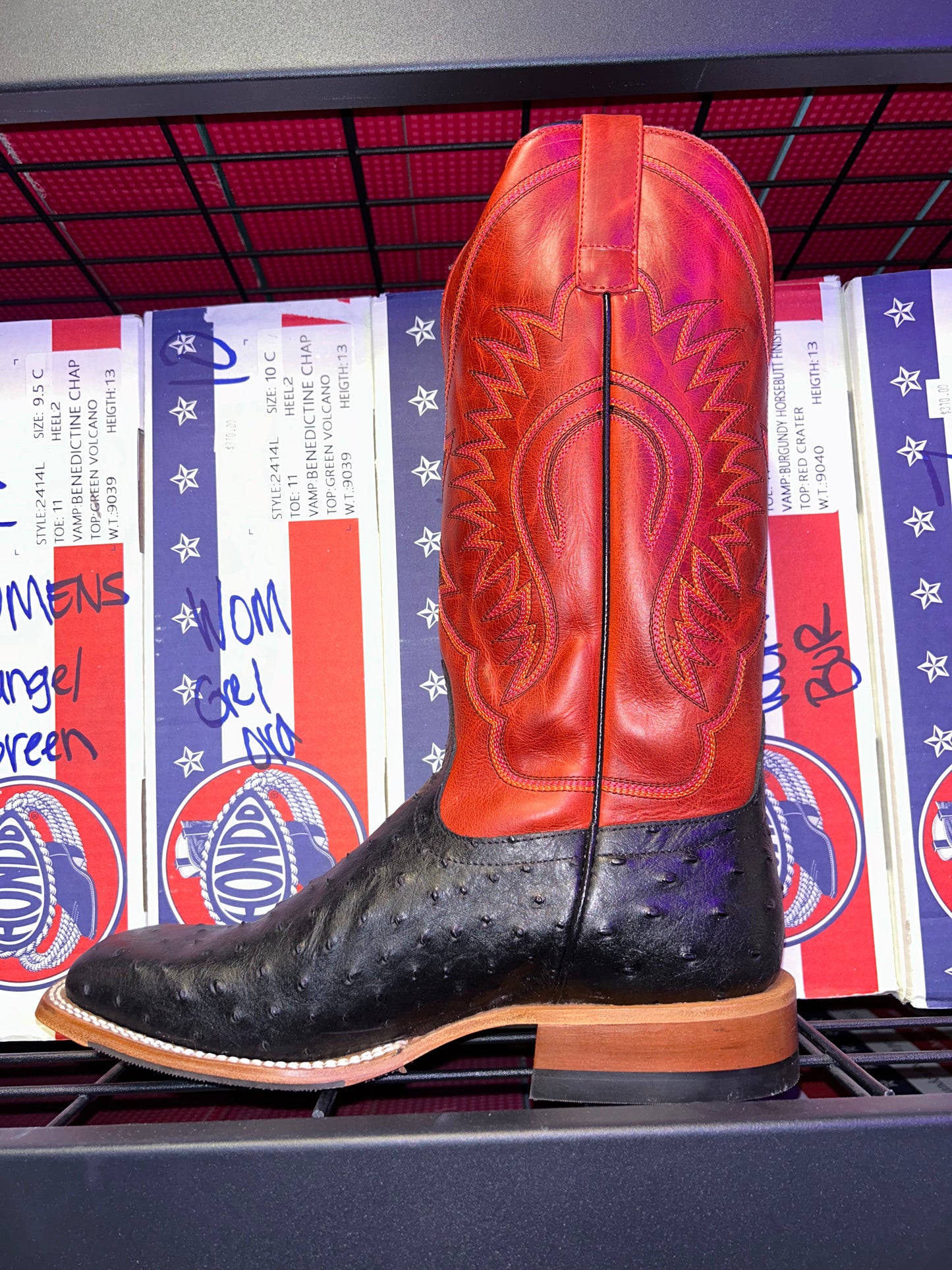 Women's Macie Bean Black Ostrich Print Boot