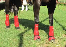 Fast Back Sport Boots