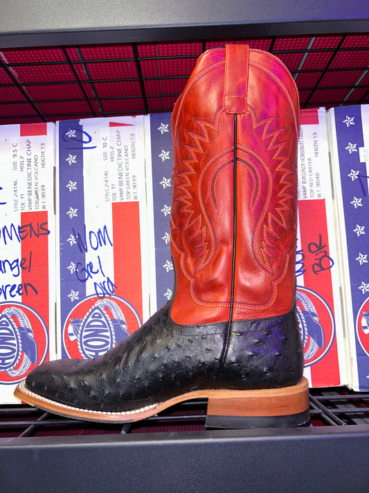 Women's Macie Bean Black Ostrich Print Boot