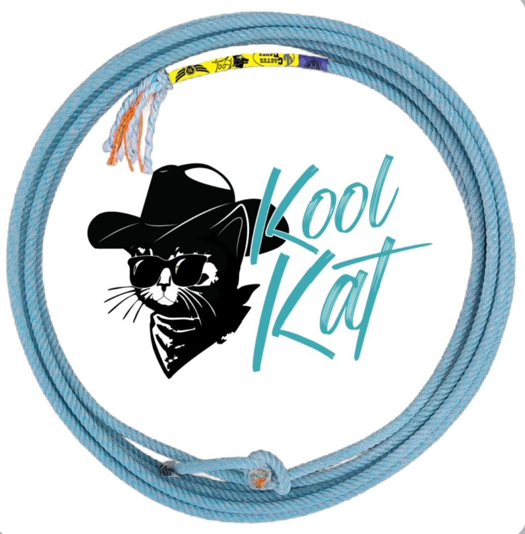 Cactus Kool Kat